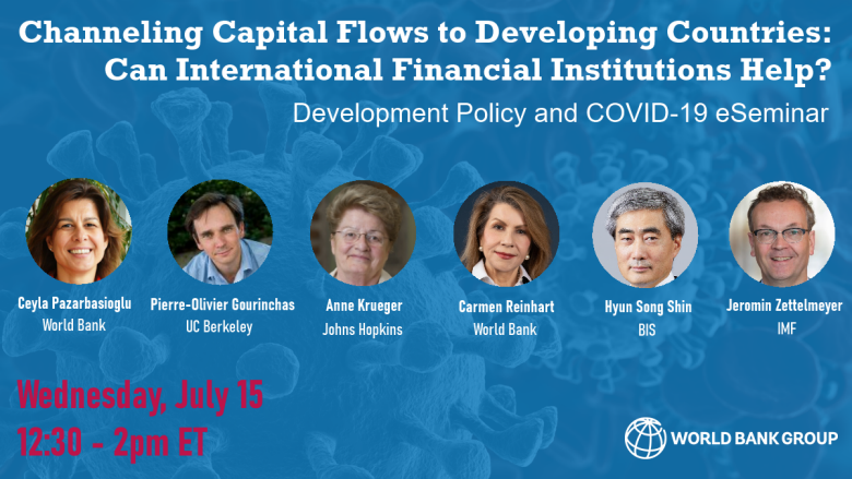 Channeling Capital Flows to Developing Countries: Can International Financial Institutions Help?