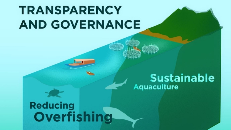 PROBLUE animation screenshot_transparency and governance_sustainable aquaculture. reducing overfishing, fish ship blue and green background
