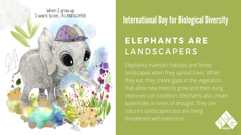 Biological Diversity Day 2020