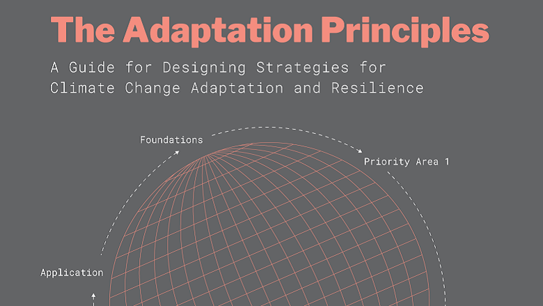 The Adaptation Principles cover