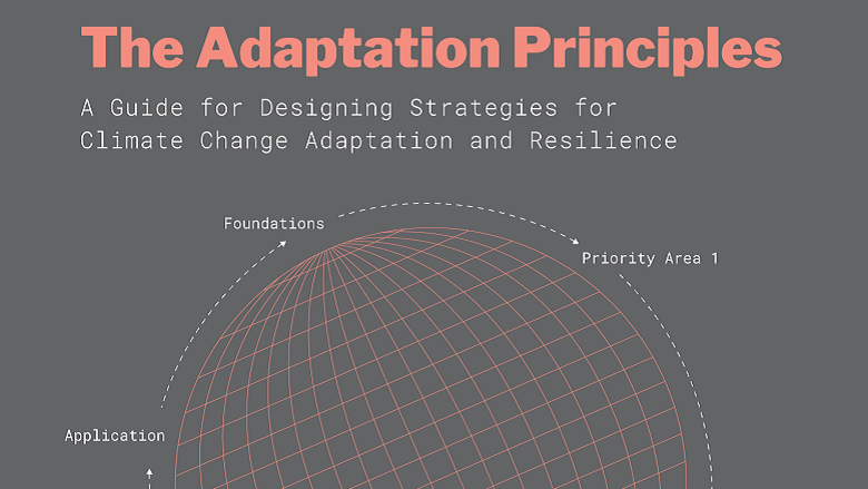 The Adaptation Principles at a Glance