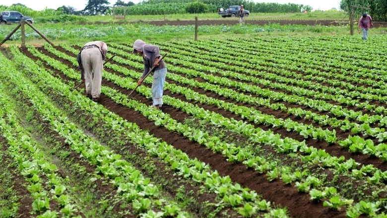 What is the future of agriculture in a post-pandemic world?