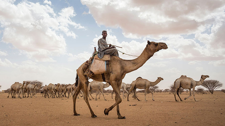 Leveraging Sudan’s natural resources against COVID-19 and locust swarms