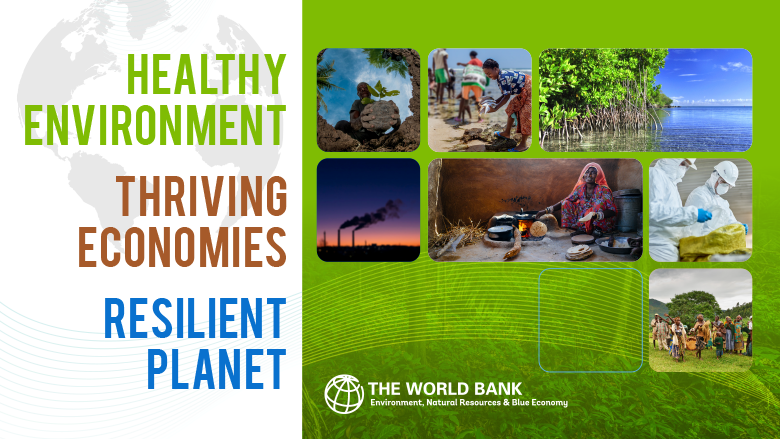 Pollution World Bank Group