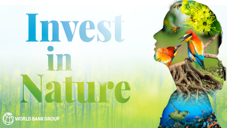 Biodiversity Biodiversity