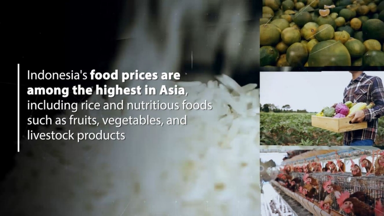 Food security in Indonesia