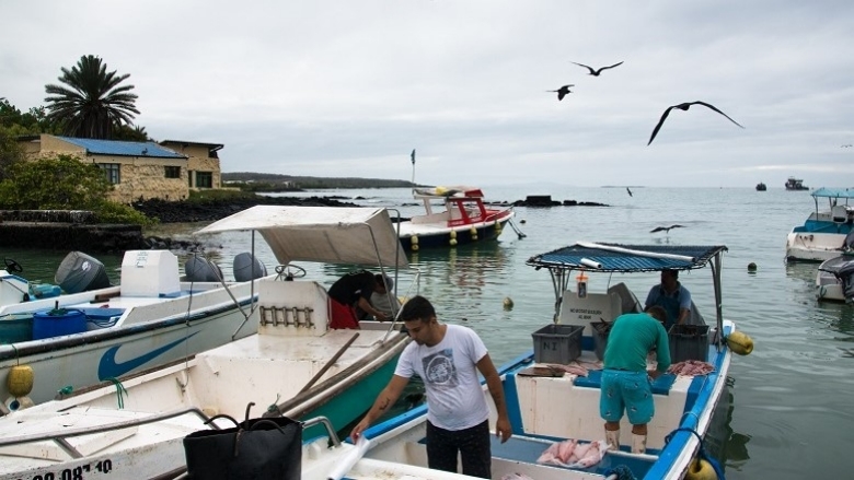 CleaningFish_SantaCruzIsland_Galapagos_Author JuanManuelGarcia_CDF