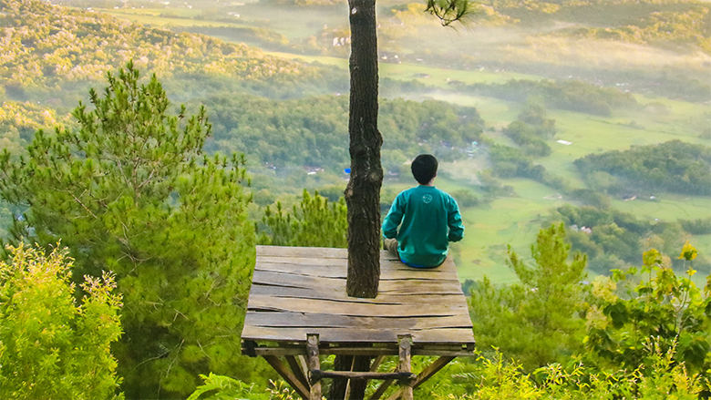 Man overlooking a forest from an elevated wood platform on a tree