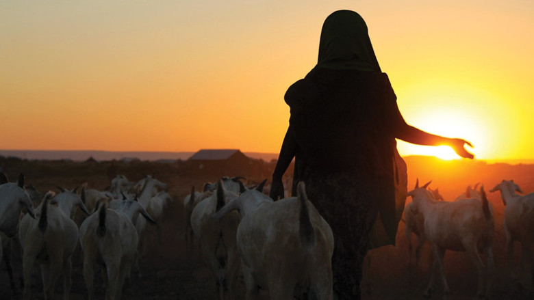 Pastoralism in Africa