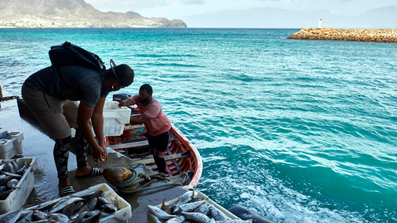 In Mindelo, Cabo Verde, fishermen unload fish for processing. FAO/Luis Costa