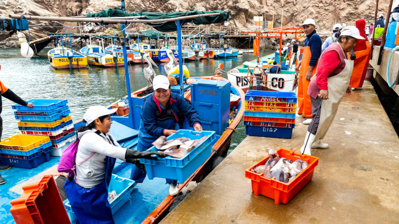 Women fishers unload their catch for the day. Luis Carrera/WWF Peru