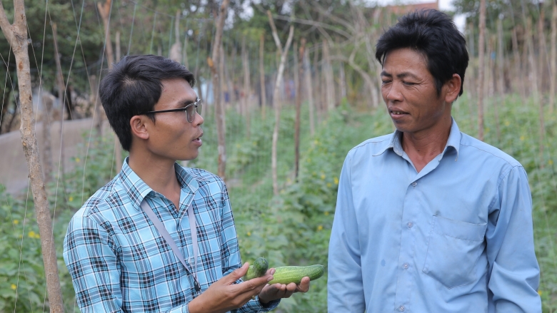 Horn Oeun, (left) a Tbong Khmum provincial agricultural advisor discusses farming techniques at a LASED supported cucumber farm. © Saroeun Bou/World Bank.