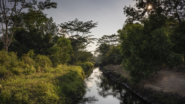 dozen Ward Earthenware Indonesia Takes a Landscape Approach to Reduce Deforestation, Address  Climate Change
