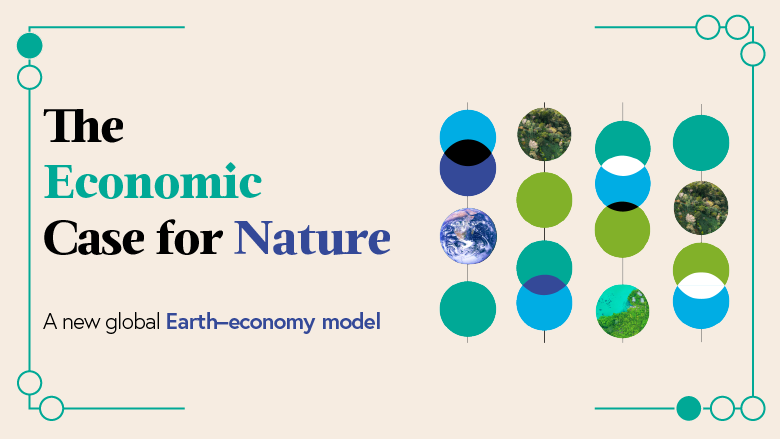 The Economic Case for Nature Report Cover report title in color and abacus type graphic