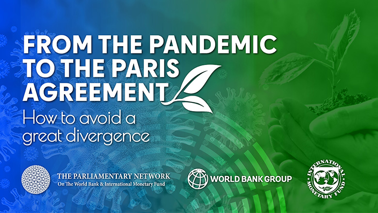 2021 Global Parliamentary Workshop at the World Bank and IMF Spring Meetings