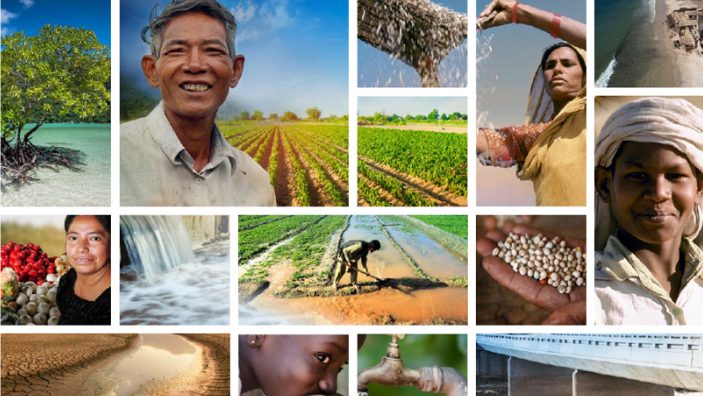 Photo collage from cover of the report 