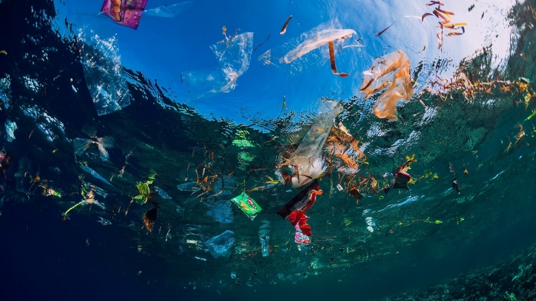Plastics in the ocean