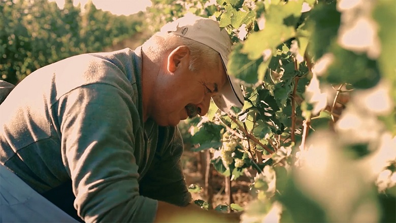 Transforming Food Systems for Healthier People, Planet and Economy