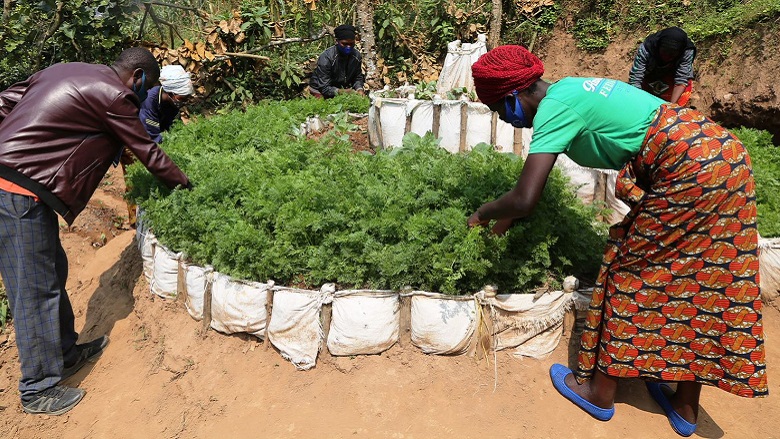 agricultura resiliente