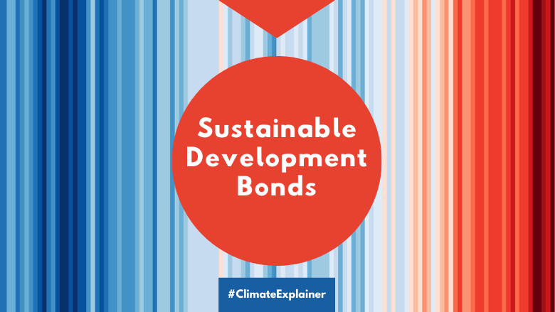 Sustainable Development Bonds explainer