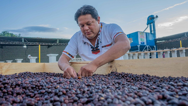 Jimmy Ramírez, Commercial Manager at Cafés Especiales de El Paraíso (CAFEPSA). Photo credit: Jimmy Ramírez