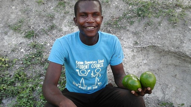 Mango and avocado farmer in Haiti