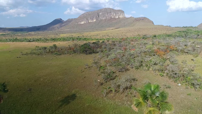 Aerial view from Cerrado Biome in Brazil. Credit: FIP