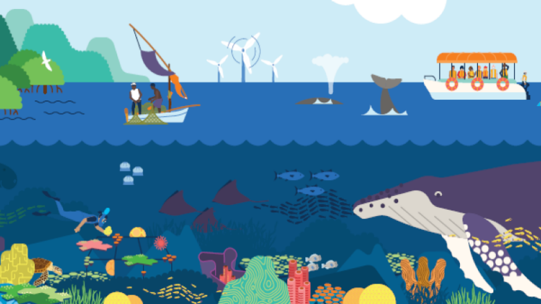 Supporting Biodiversity and Healthy Ecosystem Services in Oceans and Coasts