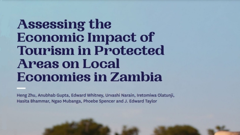 Assessing the Economic Impact of Tourism in PAs in Zambia