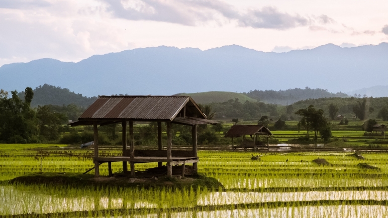 Laos