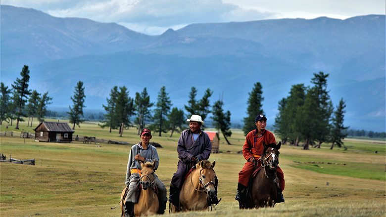 Understanding the Causal Factors in the Gender Gap in Life Expectancy in Mongolia