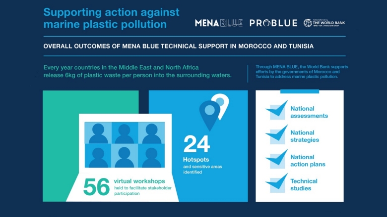 Overall Outcomes of MENA Blue Technical Support in Morocco and Tunisia