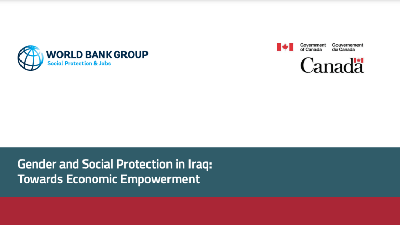 Gender and social protection in Iraq: Towards economic empowerment