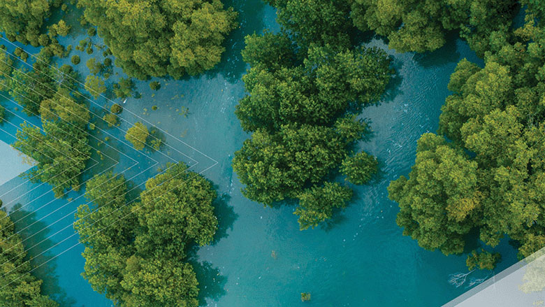 CSF 2021 Annual Report cover