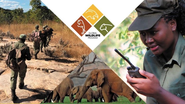 The Vital Role of Rangers in Achieving Biodiversity and Development Outcomes