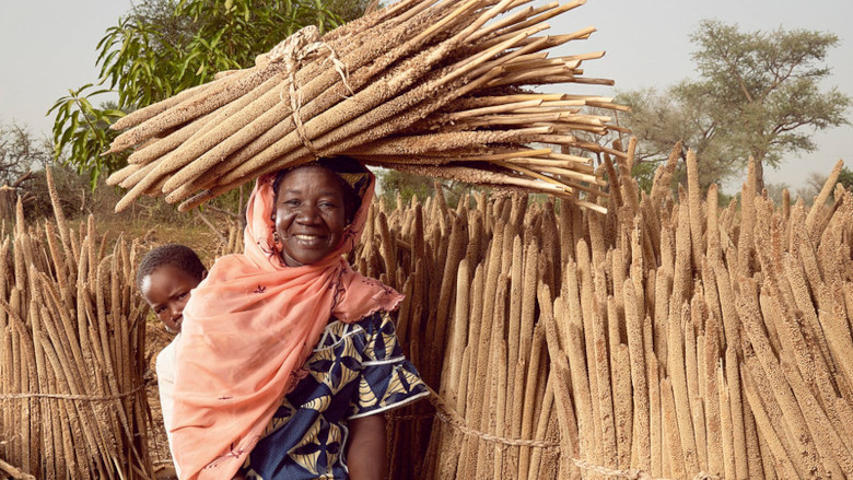 Portrait of Abou amid millet stalks dried in the sun