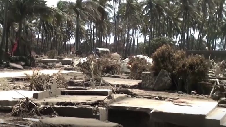 Assessing the Impact of the Tonga Volcanic Eruption and Tsunami