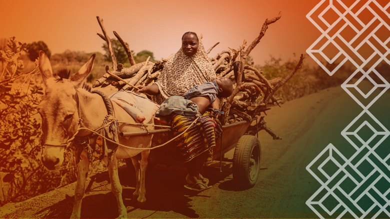 Adaptive Social Protection - Niger