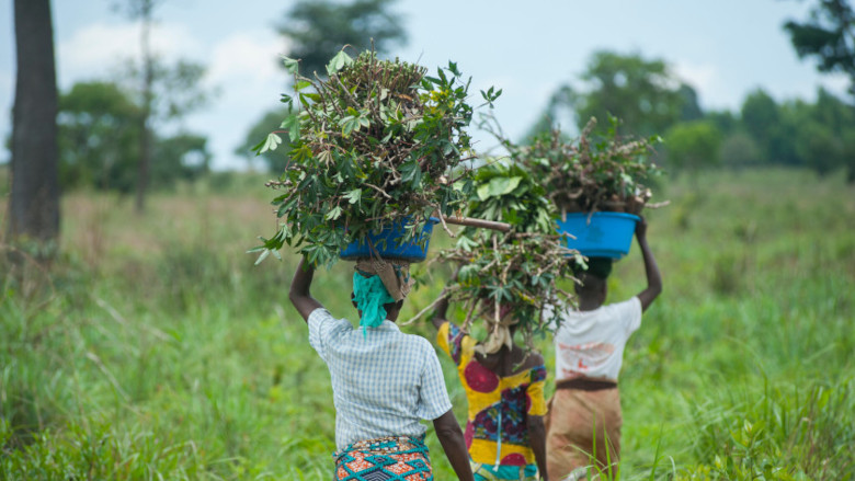 Financing options to help smallholder farmers prepare for disaster risks in DRC