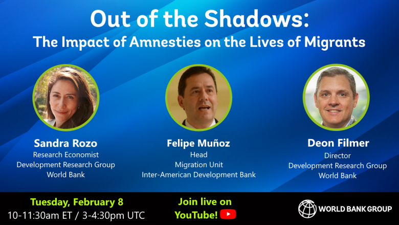 Out of the Shadows: The Impact of Amnesties on the Lives of Migrants