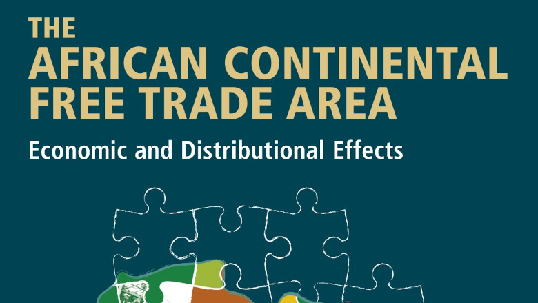 The African Continental Free Trade Area: Economic and Distributional Effects