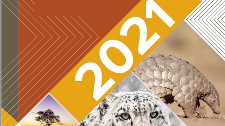 2021 GWP Annual Report