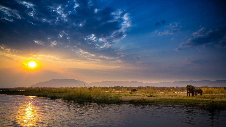 Lower Zambezi National Park Zambia