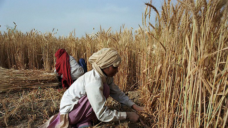 Joint Statement by the Heads of the Food and Agriculture Organization, International Monetary Fund, World Bank Group, World Food Programme, and World Trade