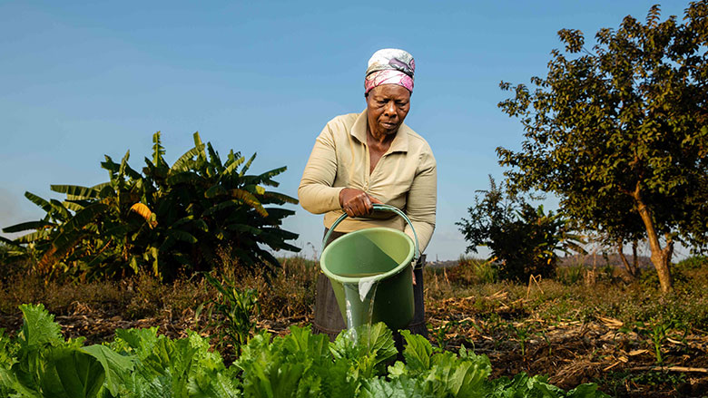 Without climate-smart agriculture practices and investments, Zimbabwe’s agriculture sector could go into fast decline.
