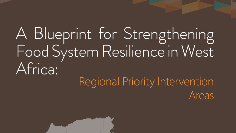 Blueprint for Strengthening Food System Resilience in West Africa