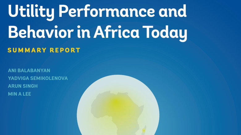 Utility Performance and Behavior in Africa Today