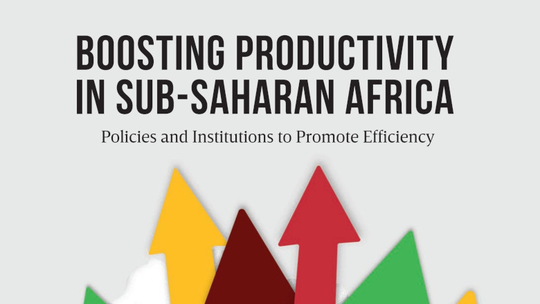 Boosting Productivity in Sub Saharan Africa