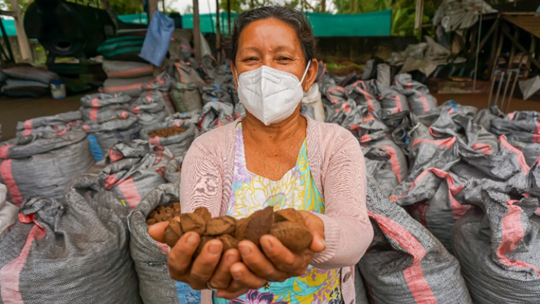 Amazon Sustainable Landscapes Program 