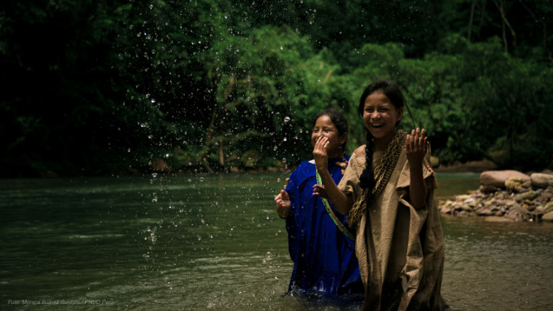 Amazon Sustainable Landscapes Program 